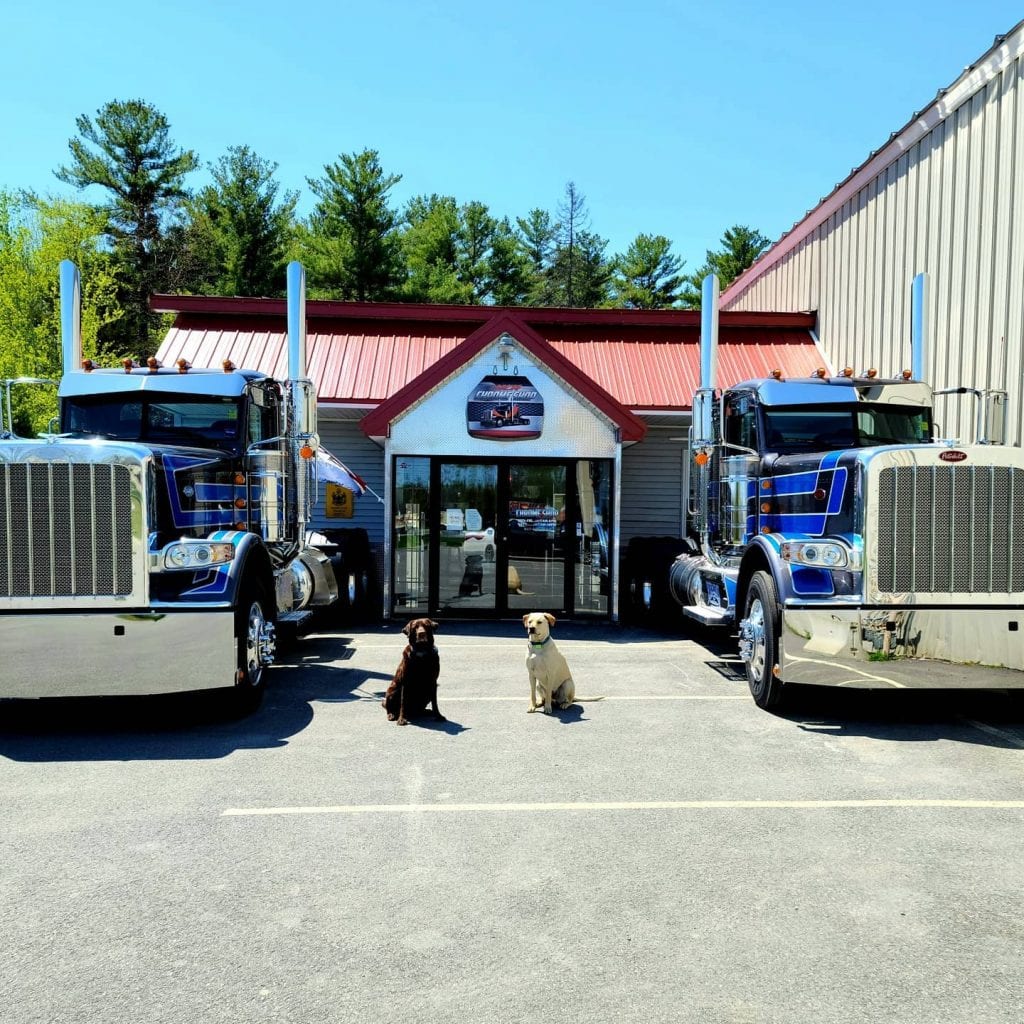 photo of two dogs and two big rig trucks in front of store front